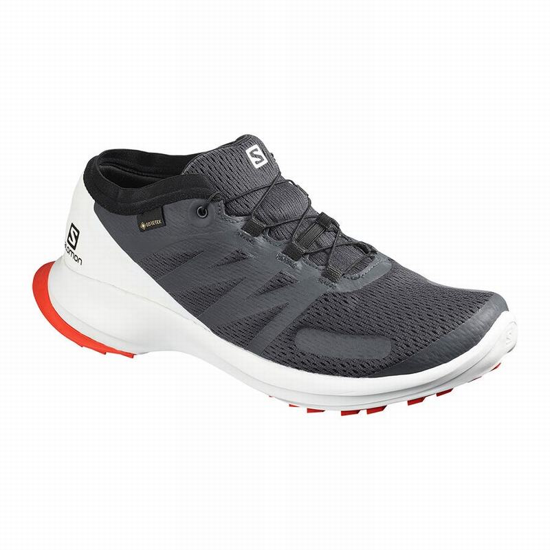 Chaussures De Trail Running Salomon Homme Noir - Salomon SENSE FLOW GTX - France (2359-LEQVZ)